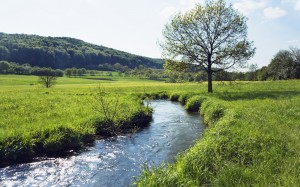 обои Windows 7 Flusslauf in der Wiese in Bayern, Deutschland (River running through meadow in Bavaria, Germany)